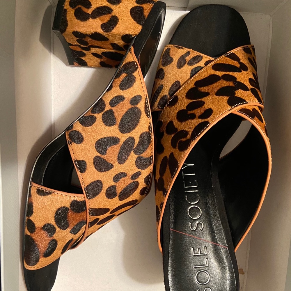 Sole Society Heels ( brand new)